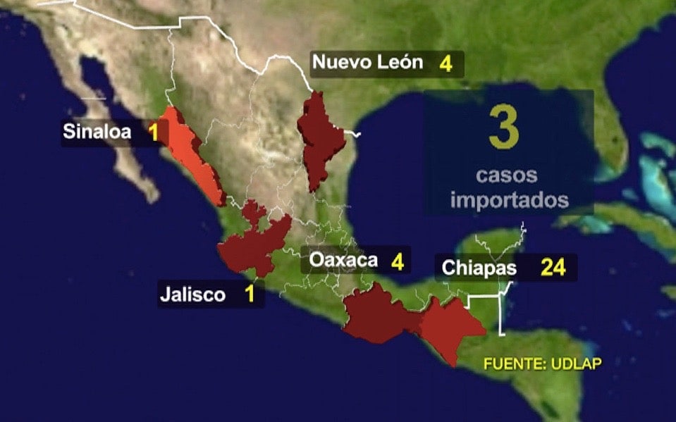 Confirman 37 casos de Zika en México, ninguno en mujeres embarazadas