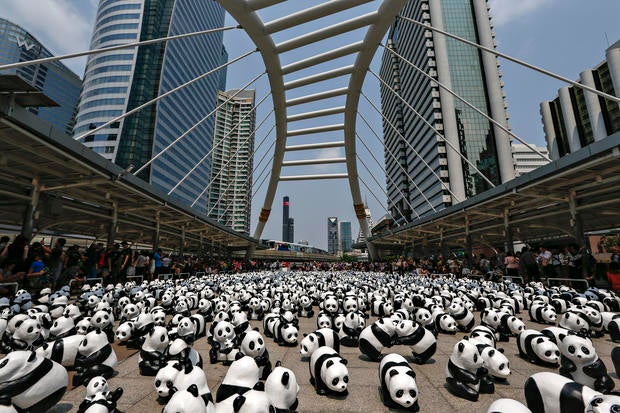 Photos of the week - March 5-11, 2016 