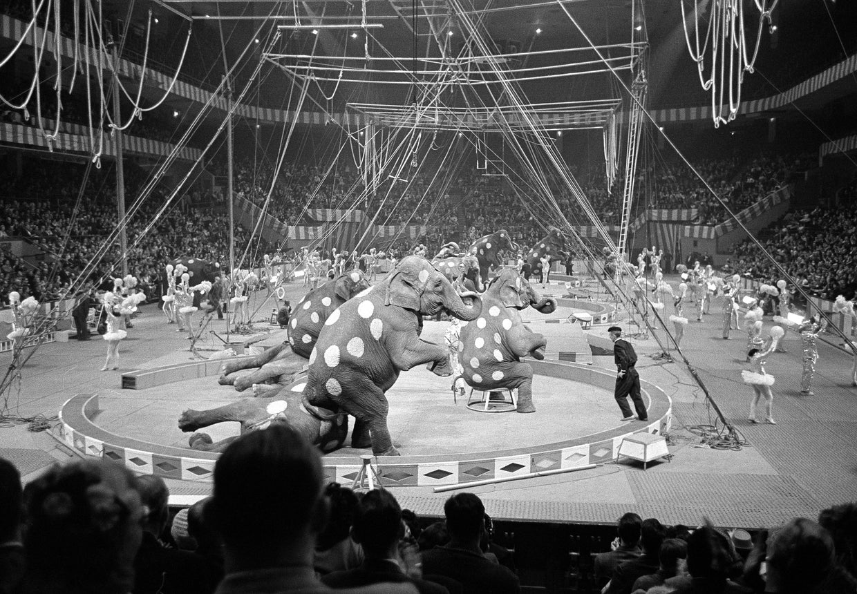 End of an era for Ringling Brothers circus elephants CBS News