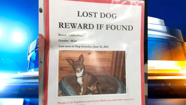 Lost Dog Flyer 