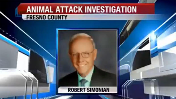 Robert Simonian Drowned Man Likely Attacked By Dogs 