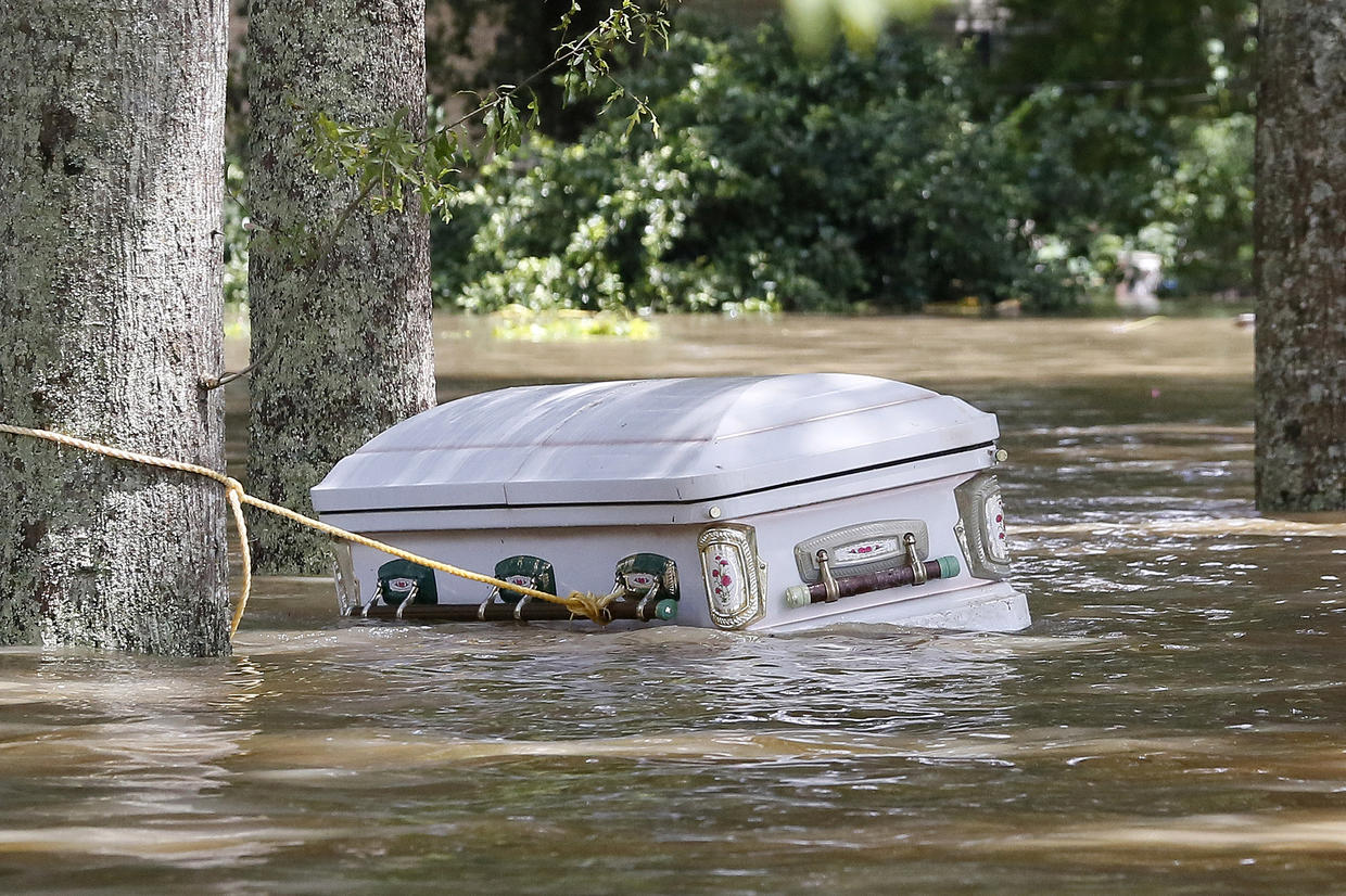 Contaminated floodwaters Deadly flooding in Louisiana Pictures