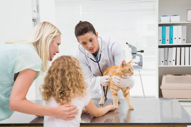 9 ways to get cheap or free vet care for your pet - CBS News