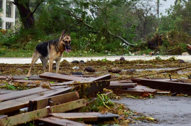 2016-10-06t215318z-1044649980-s1aeufmgmoaa-rtrmadp-3-storm-matthew.jpg
