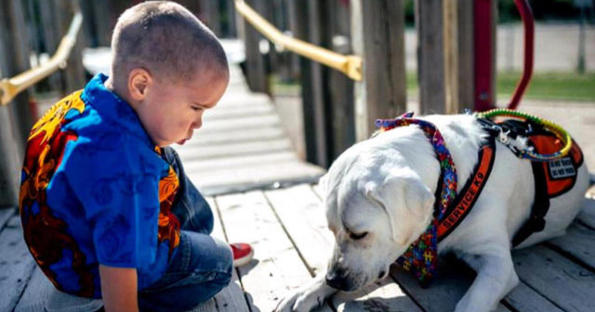 an-autistic-boy-and-his-service-dog-cbs-news