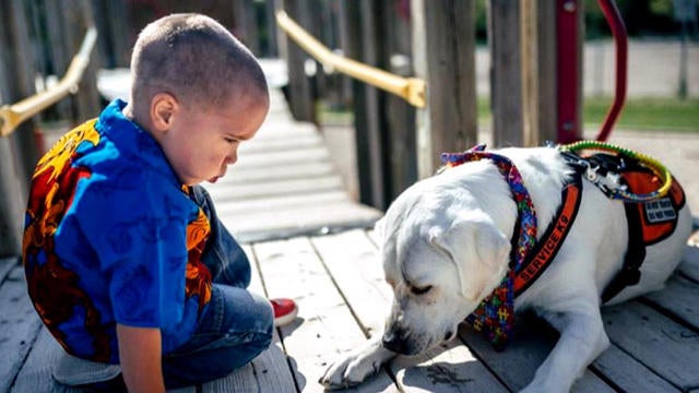 1011-cbsn-autisticboyservicedog-1147317-640x360.jpg