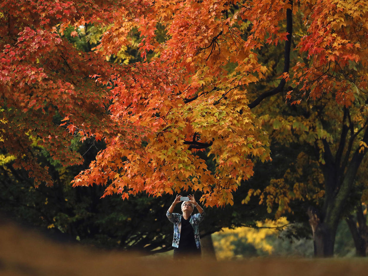 Fall foliage 2016 - CBS News