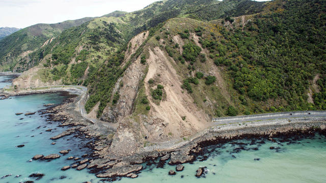 New Zealand Earthquake Strands Kaikoura Tourists In Whale Watching