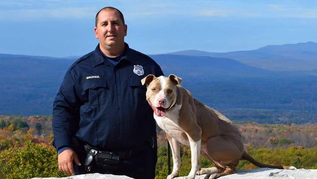 Meet the first official "pit bull" police dog in the state of New ... Meet the first official "pit bull" police dog in the state of New ...