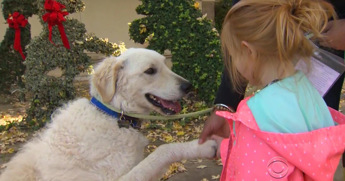 California pet adoptions Kim Pacini paying adoption fee for December