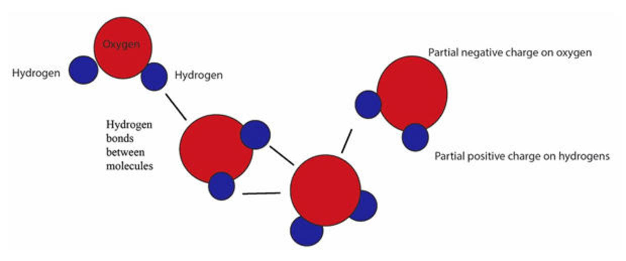 nature-up-close-water-molecules-cbs-news