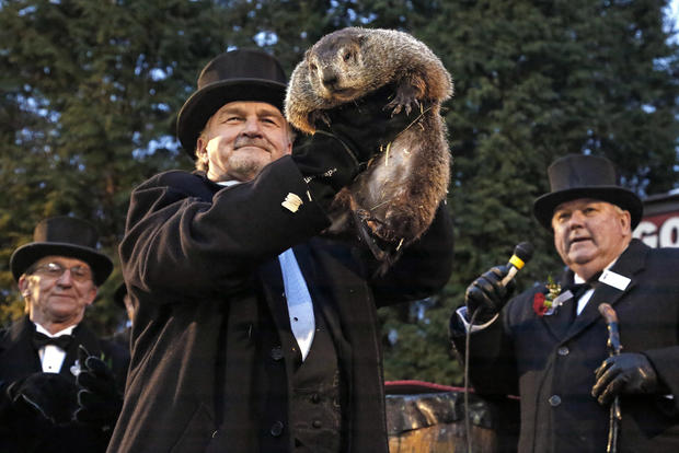 Groundhog Day 2019: How to watch live stream, day, start time, accuracy