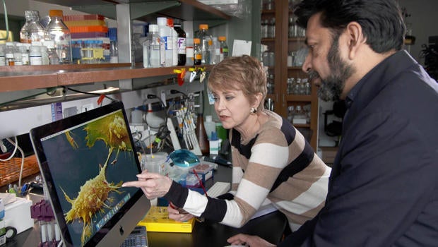 history-of-cancer-siddhartha-mukherjee-jane-pauley-620.jpg