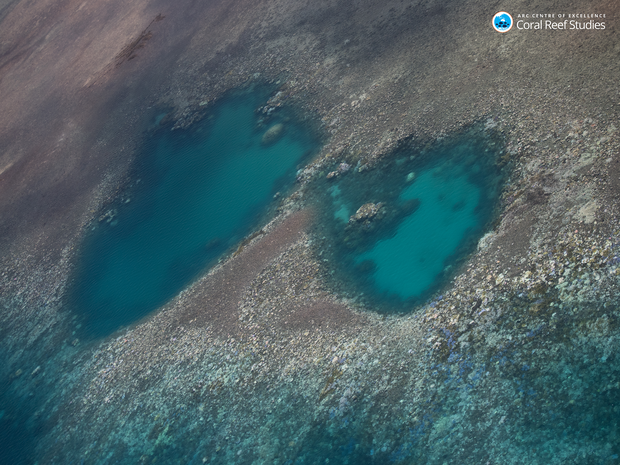 aerial-view-of-widespread-coral-bleaching-northern-great-barrier-reef.png