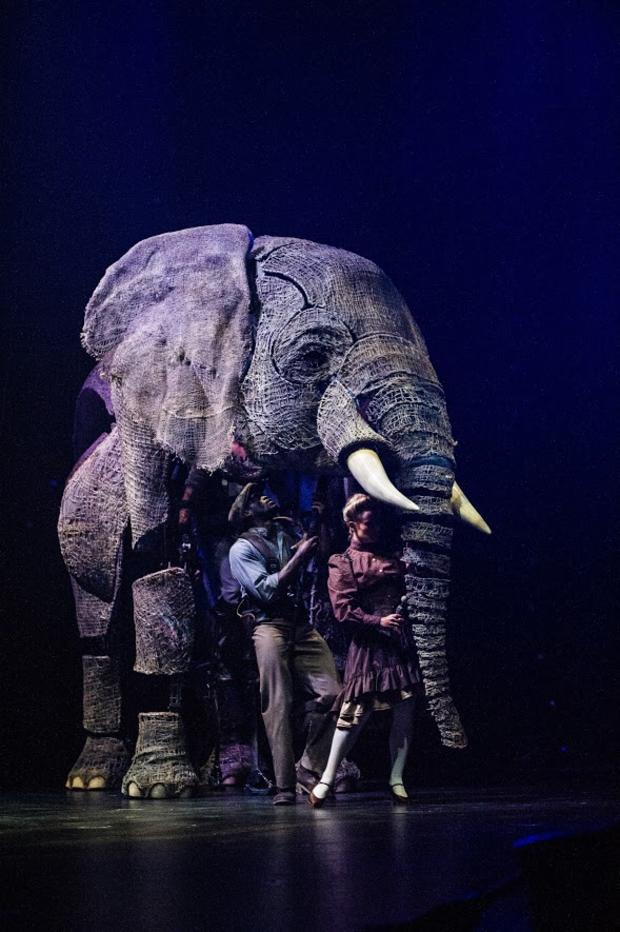 Circus 1903 Elephant 