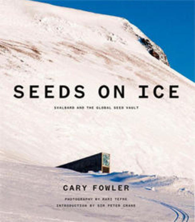 seeds-on-ice-cover-244.jpg 