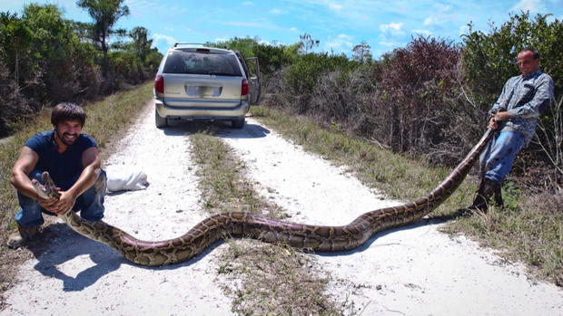 python-two-guys.jpg