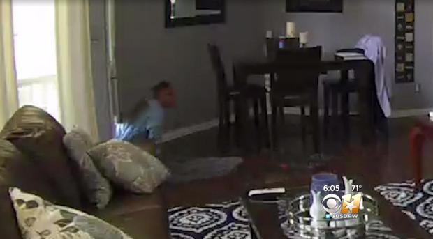 170605-cbs-dfw-doggy-door-bandit-02.jpg