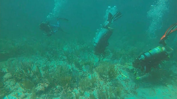 0630-ctm-bojorquez-coralreefgardners-1347076-640x360.jpg