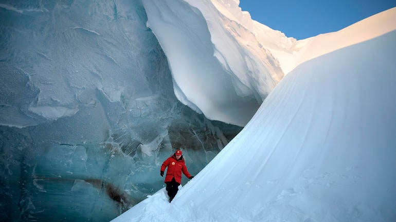 arcticc-ap17088703880432.jpg