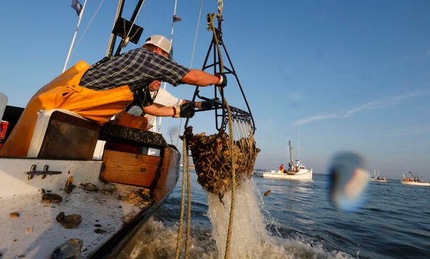 The 20 deadliest jobs in America, ranked 