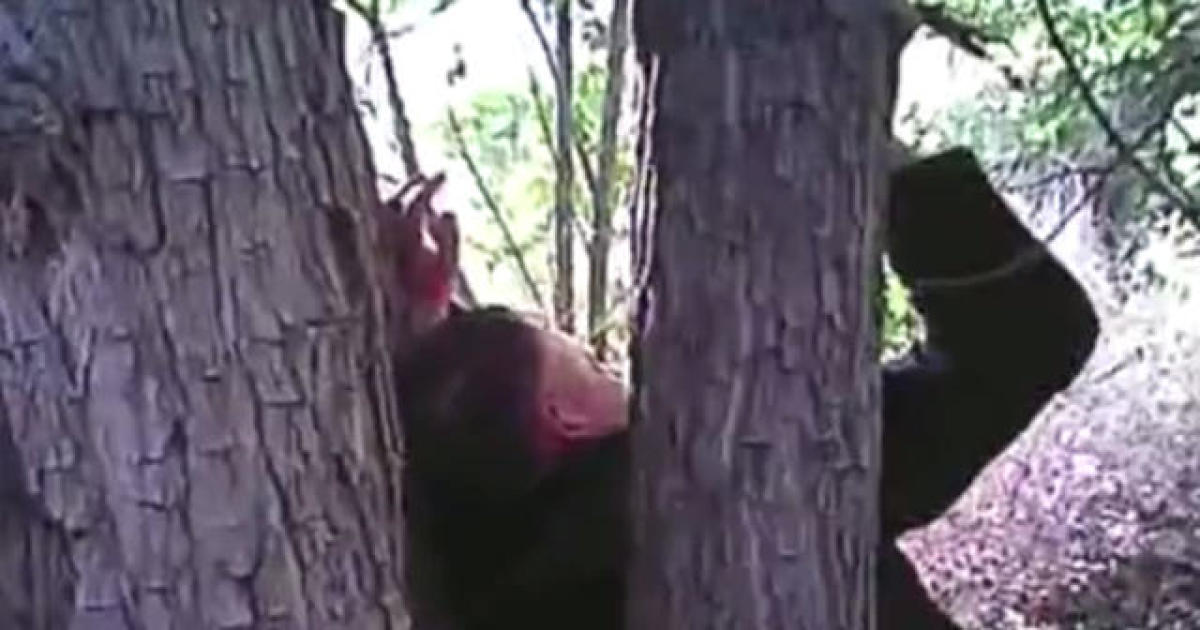 Video Shows Rescue Of Man Found With Hands Nailed To Tree Cbs News