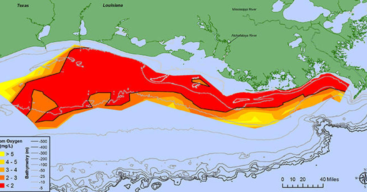 Gulf of Mexico dead zone is "largest" ever recorded in U.S ...