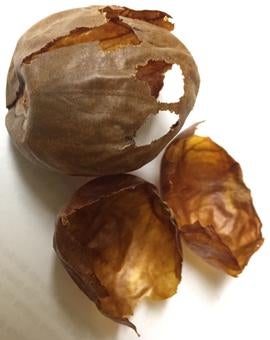 nm254avocado.jpg