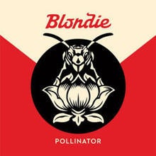 blondie-pollinator-noble-id.jpg
