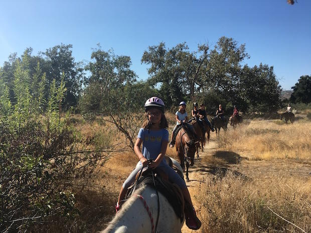 Country Trails and Riding School - verified ramon 