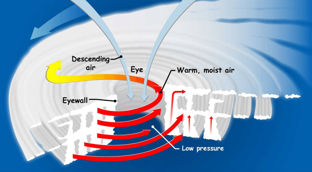 wx-graphic.png