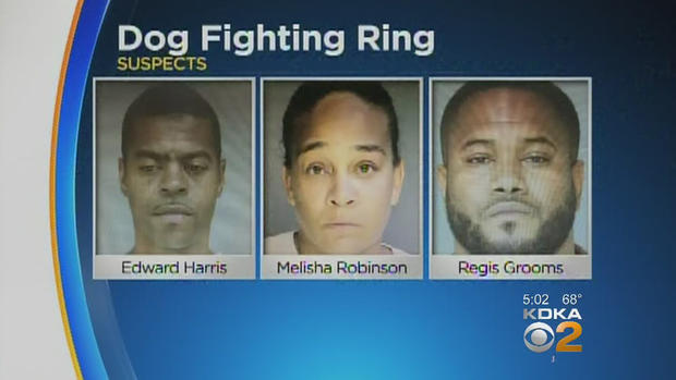 dogfighting-suspects-fayette 