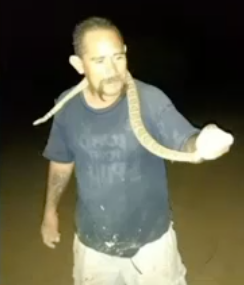 Rattlesnake bites Arizona man in the face, neck after he tries catching