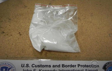 U.S. Customs and Border Patrol seize record amount of fentanyl and other opioids 