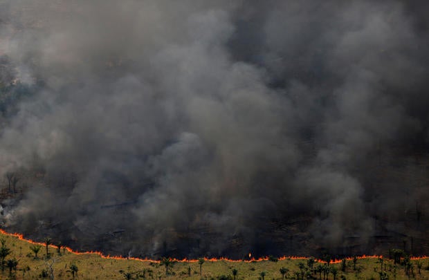 The Wider Image: Battling deforestation in the Amazon