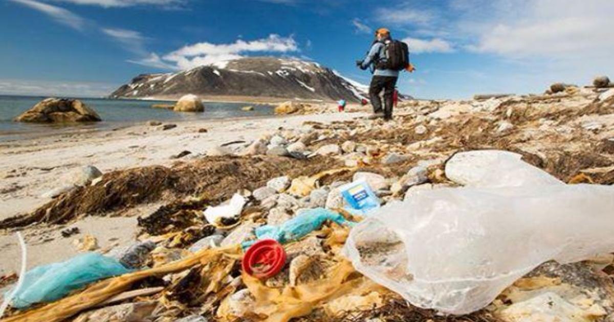 Marine litter презентация