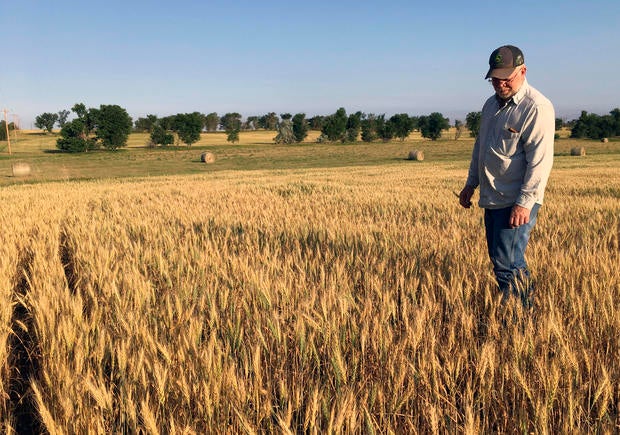 Plains Drought