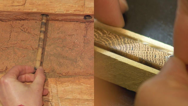lincoln-cabin-tree-ring-sample-from-knob-creek-montage-620.jpg