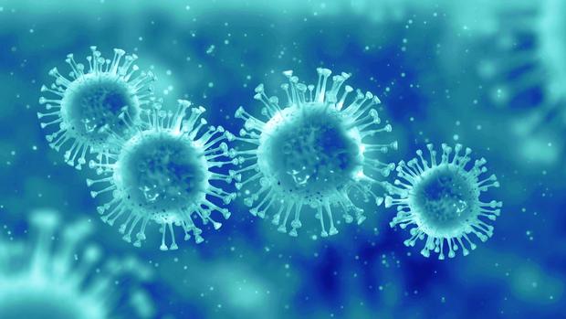 lapook-flu-vaccine-0301182.jpg