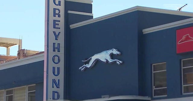 greyhound bus driver salary greyhound bus driver salary