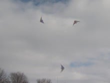 kites-fire-and-ice-sm-j234-forair-cowan-kites-032518-copy-01-copy-01-nogroups-01-consolidated-01-frame-6979.jpg