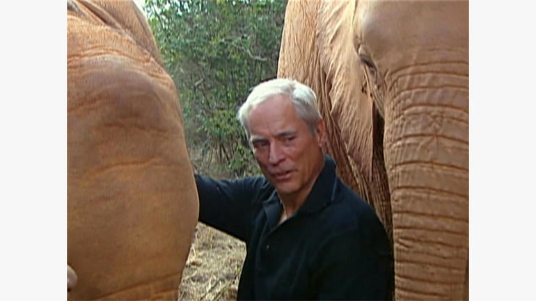 ot-elephantorphanageb1.jpg