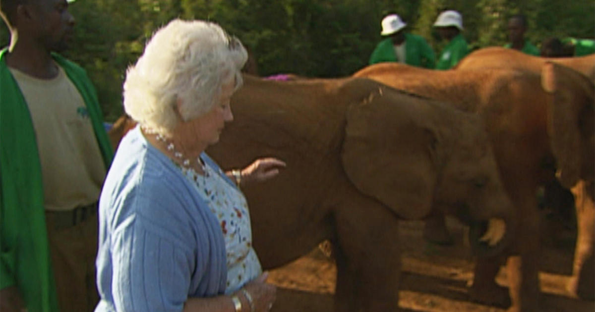 Daphne Sheldrick Saying Goodbye To The Queen Of The Elephants Cbs News 