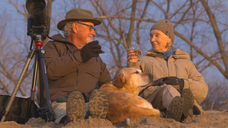 ot-janegoodalltommangelsen.jpg