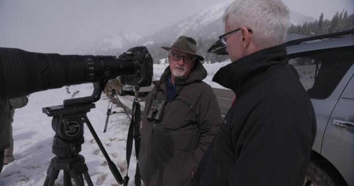 Into The Wild With Thomas D Mangelsen Cbs News