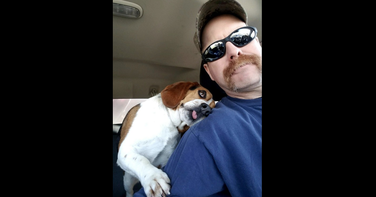 Heartwarming photo of rescue dog on his "freedom ride" goes viral CBS