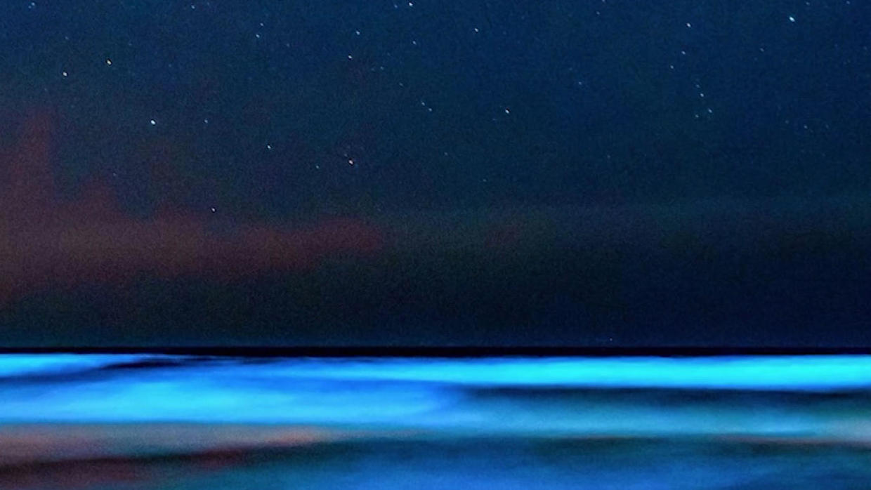 Bioluminescence from red tide Algae bloom literally lighting up San
