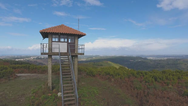 forest-fire-watch-tower-620.jpg