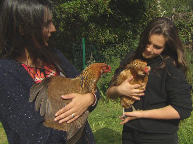 amina-azhar-graham-family-keeps-chickens-promo.jpg 