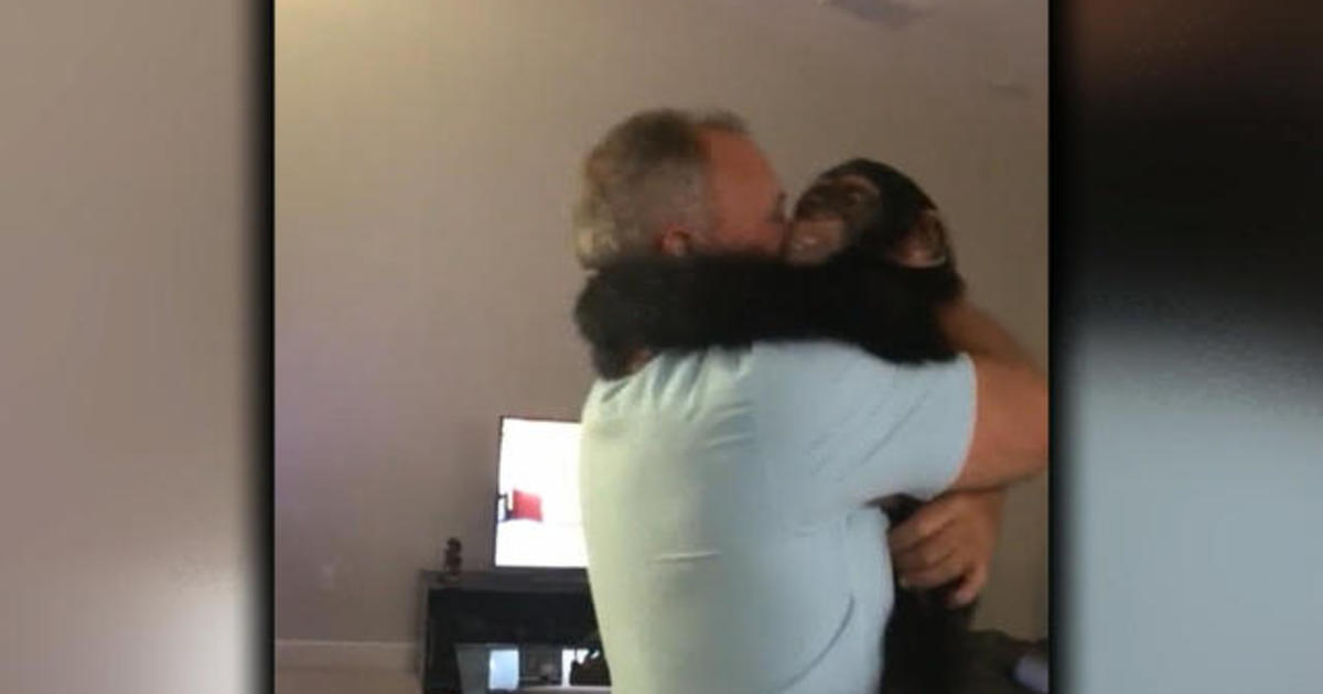 Image result for two guys hugging a chimp